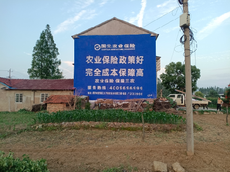  万安墙体广告为何受追捧？